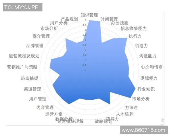 北京排球队战术解析与运营体系的深度剖析与实践探索