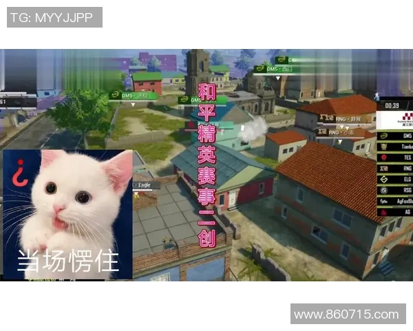 和平精英战术分析:TES团队包夹策略的成功与不足之处探讨 和平精英战术分析:TES团队包夹策略的成功与不足之处探讨